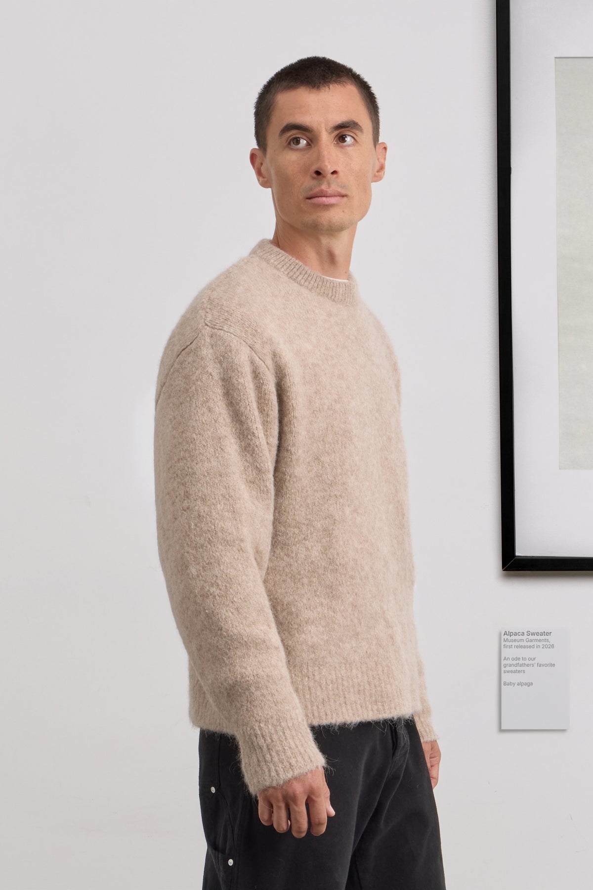 Alpaca Sweater - Baby alpaga - Beige Melange